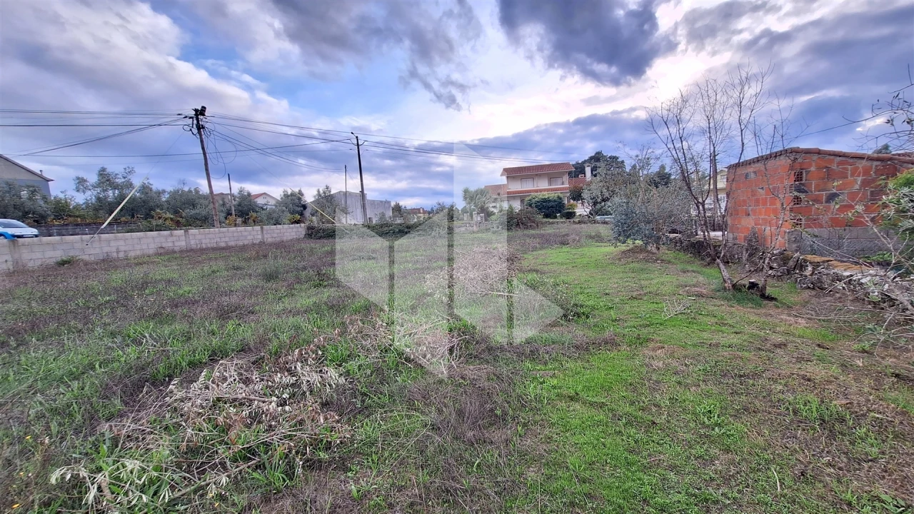 Terreno para Venda em Molelos Foto 4