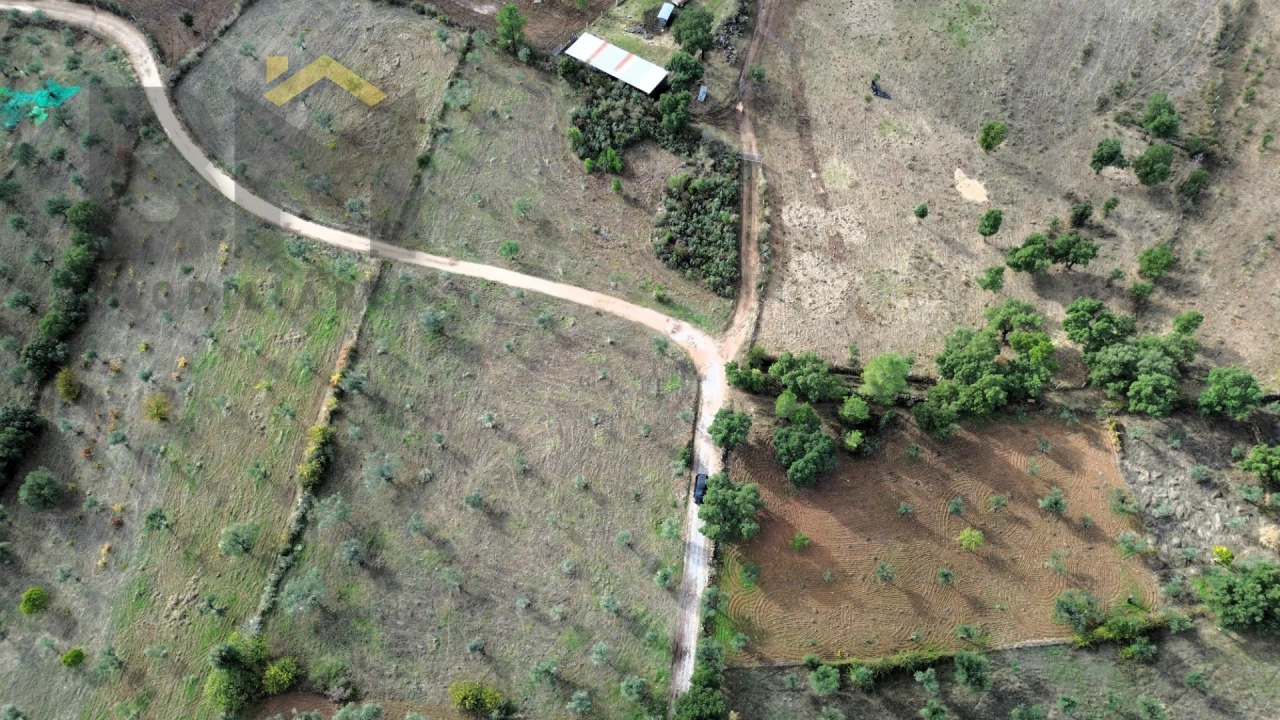 Terreno Agricola ou Rústico para Venda em Ninho do Açor e Sobral do Campo Foto 2