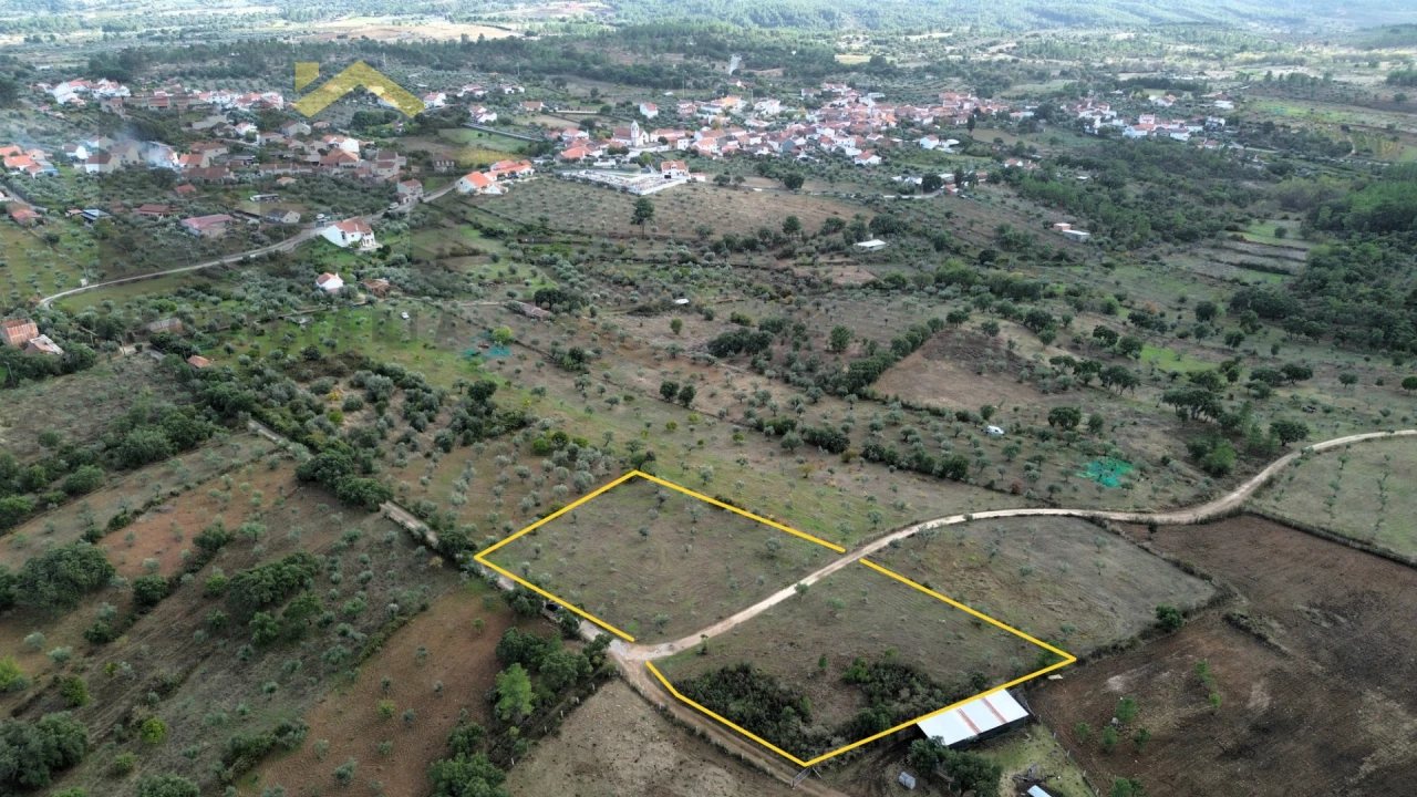 Terreno Agricola ou Rústico para Venda em Ninho do Açor e Sobral do Campo Foto 1