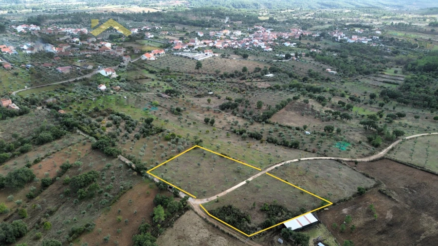 Terreno Agricola ou Rústico para Venda em Ninho do Açor e Sobral do Campo Foto 1