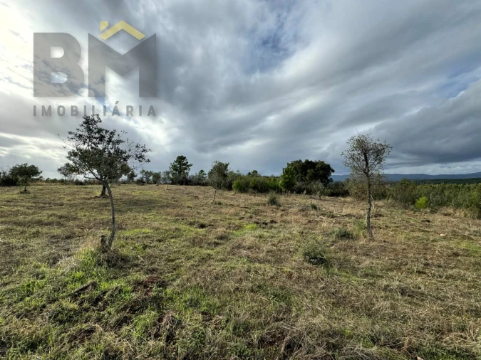 Terreno Agricola ou Rústico para Venda em Ninho do Açor e Sobral do Campo Foto 5