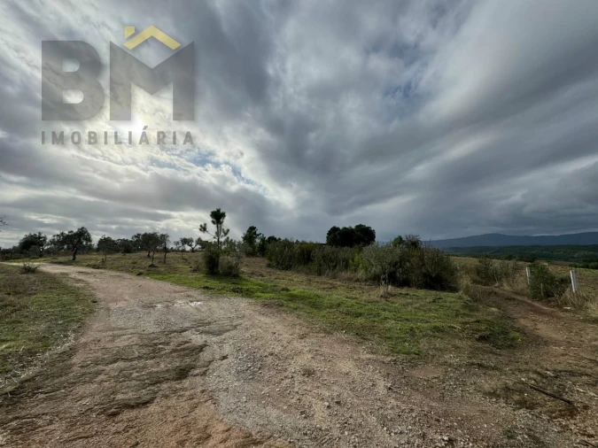 Terreno Agricola ou Rústico para Venda em Ninho do Açor e Sobral do Campo Foto 7