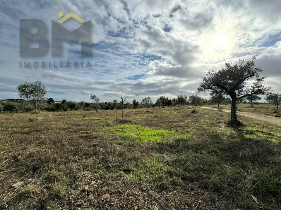 Terreno Agricola ou Rústico para Venda em Ninho do Açor e Sobral do Campo Foto 3