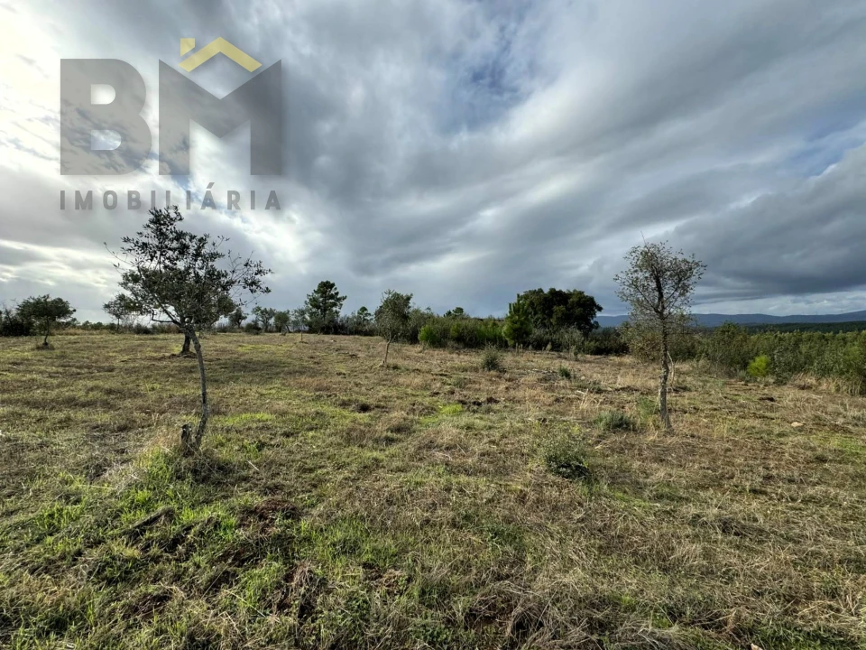 Terreno Agricola ou Rústico para Venda em Ninho do Açor e Sobral do Campo Foto 5