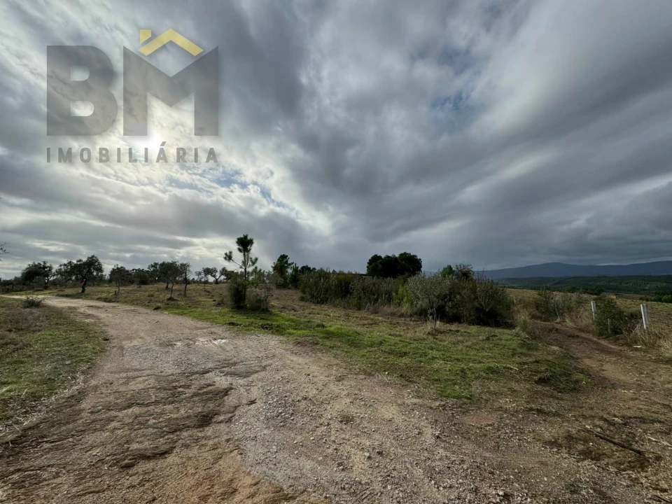 Terreno Agricola ou Rústico para Venda em Ninho do Açor e Sobral do Campo Foto 7