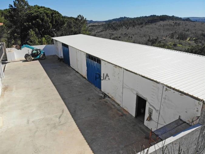 Moradia T8 para Venda em Mangualde, Mesquitela e Cunha Alta Foto 20