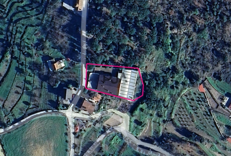 Moradia T4 para Venda em Mangualde, Mesquitela e Cunha Alta Foto 5