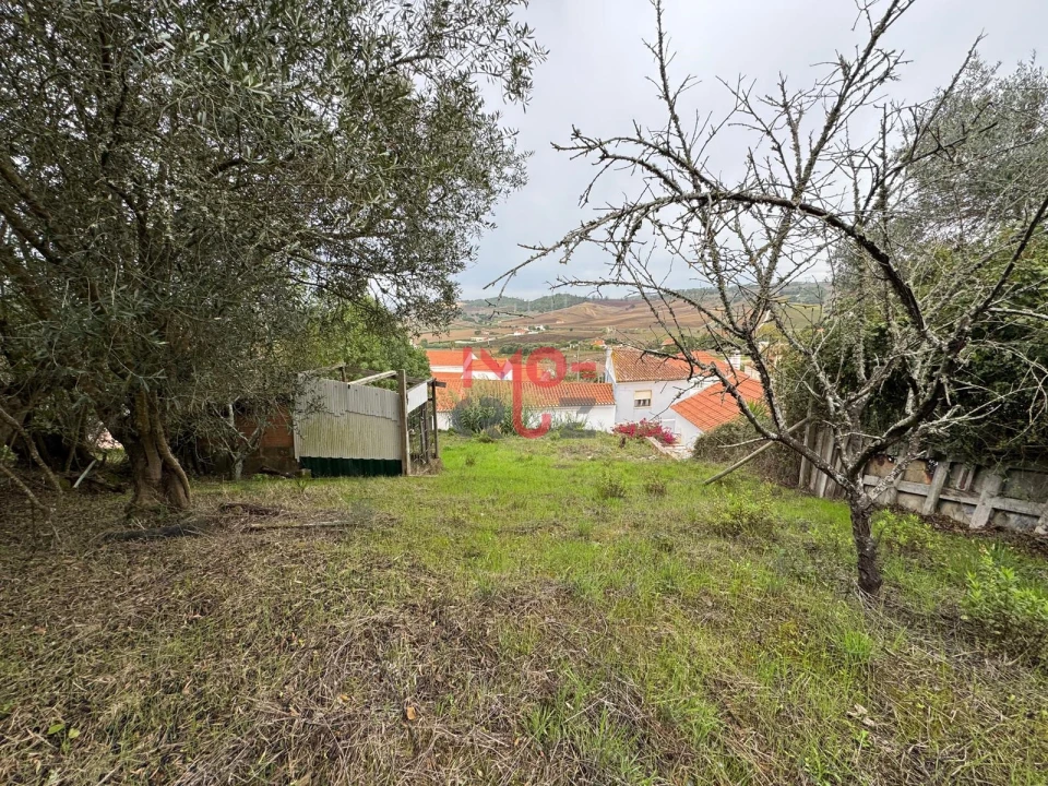 Terreno para Venda em Carvoeira e Carmões Foto 3