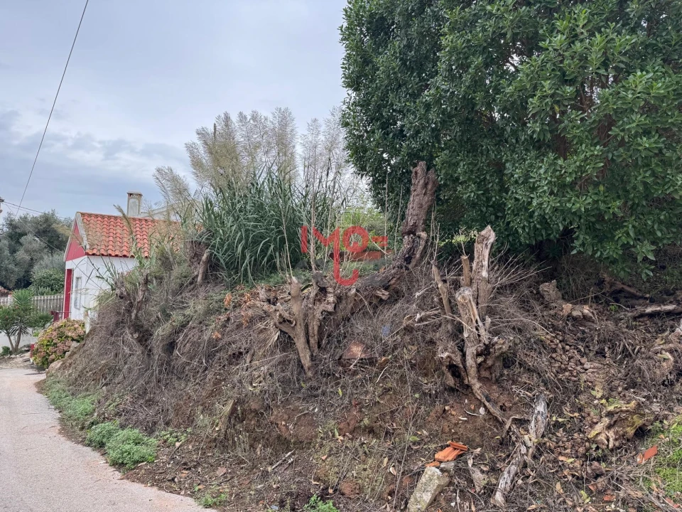 Terreno para Venda em Carvoeira e Carmões Foto 2
