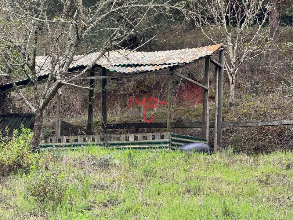 Terreno para Venda em Carvoeira e Carmões Foto 6