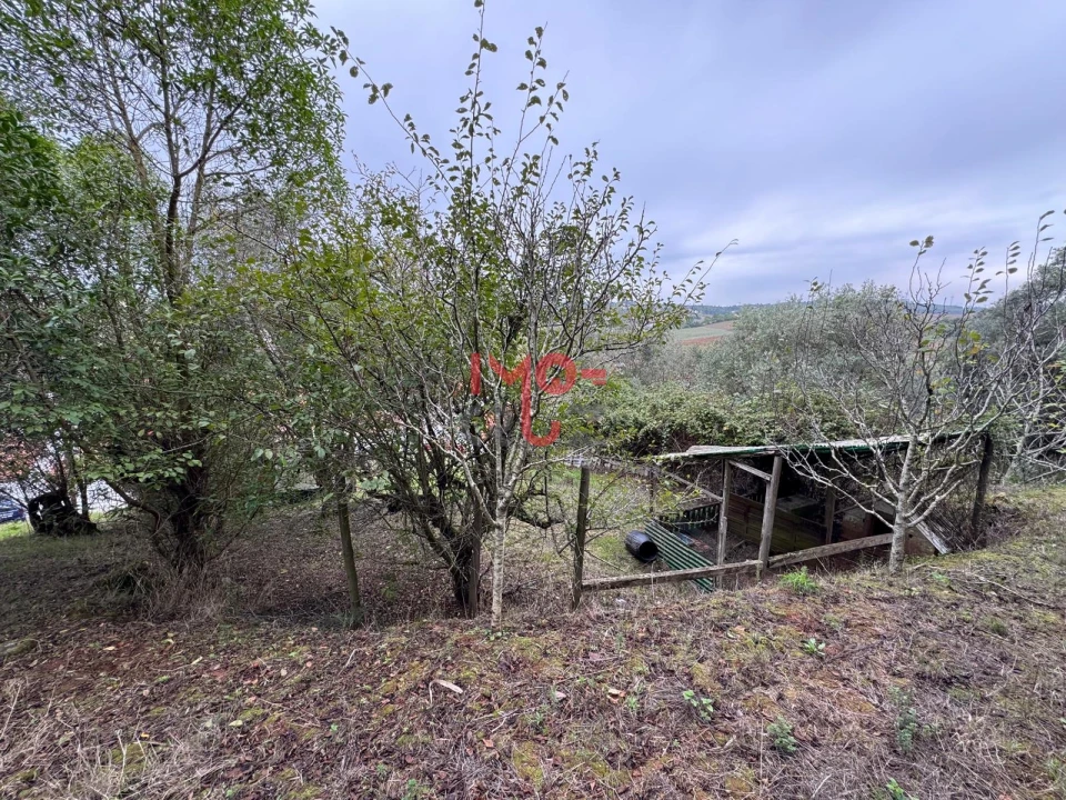 Terreno para Venda em Carvoeira e Carmões Foto 12