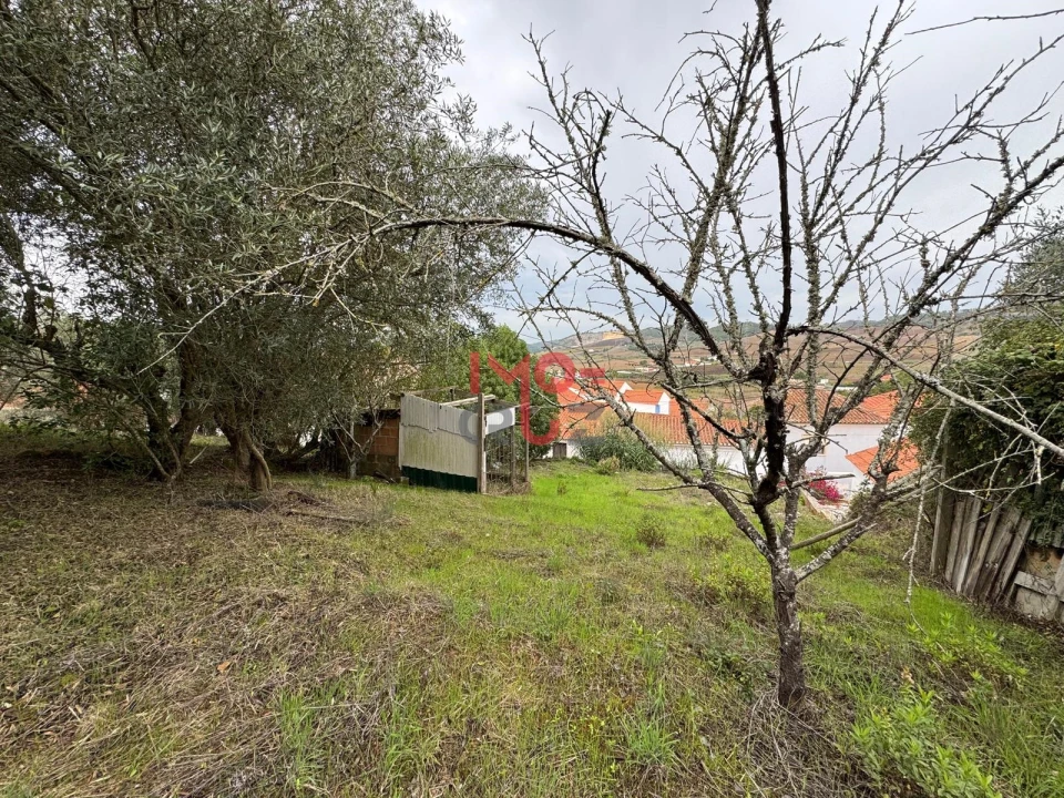 Terreno para Venda em Carvoeira e Carmões Foto 13