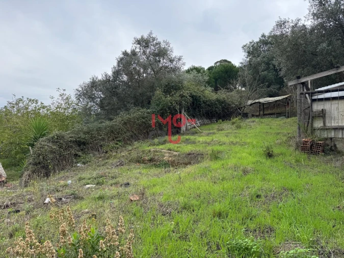 Terreno para Venda em Carvoeira e Carmões Foto 4