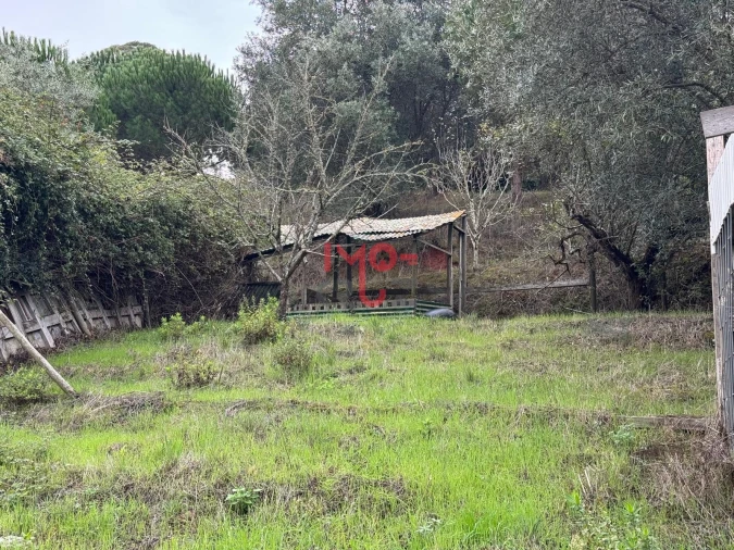 Terreno para Venda em Carvoeira e Carmões Foto 11