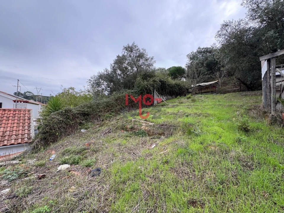 Terreno para Venda em Carvoeira e Carmões Foto 10