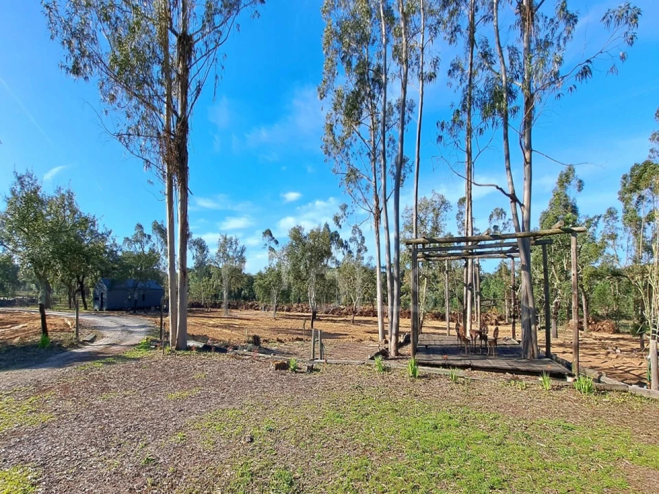 Moradia T2 para Venda em Grândola e Santa Margarida da Serra Foto 14
