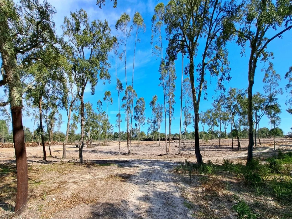Moradia T2 para Venda em Grândola e Santa Margarida da Serra Foto 19