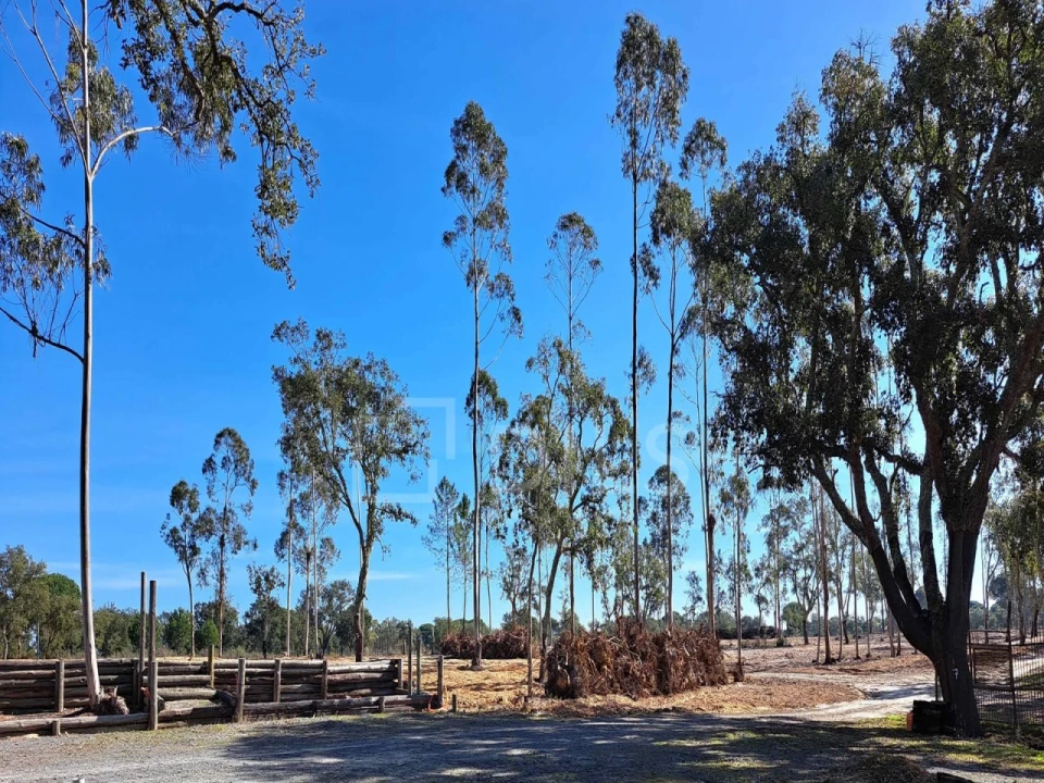Moradia T2 para Venda em Grândola e Santa Margarida da Serra Foto 20