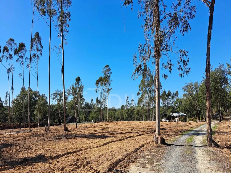 Moradia T2 para Venda em Grândola e Santa Margarida da Serra Foto 22