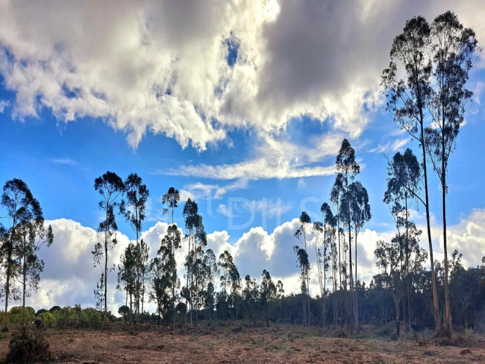 Moradia T2 para Venda em Grândola e Santa Margarida da Serra Foto 24