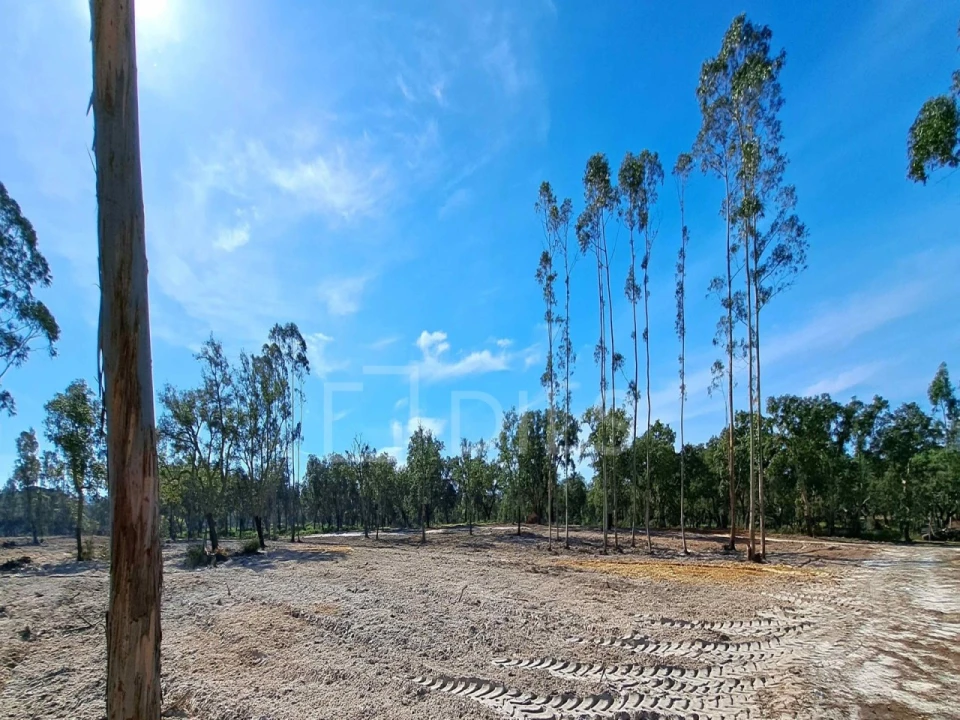 Moradia T2 para Venda em Grândola e Santa Margarida da Serra Foto 28