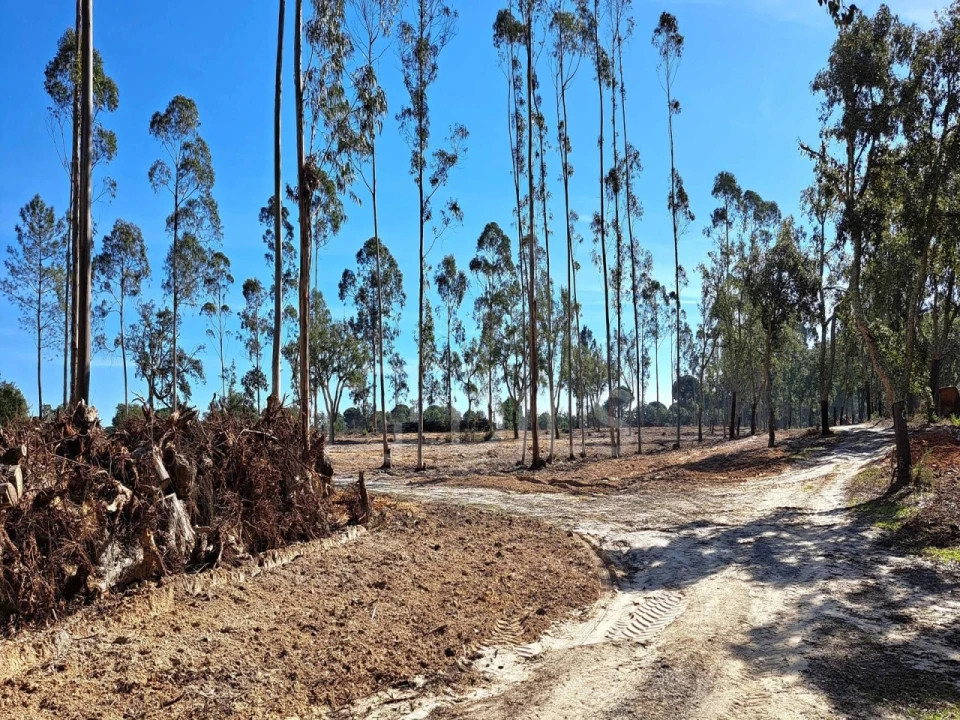 Moradia T2 para Venda em Grândola e Santa Margarida da Serra Foto 29