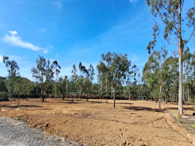 Moradia T2 para Venda em Grândola e Santa Margarida da Serra Foto 15