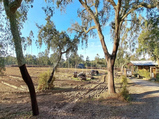 Moradia T2 para Venda em Grândola e Santa Margarida da Serra Foto 16