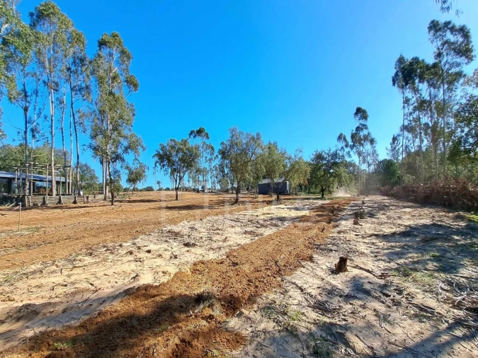 Moradia T2 para Venda em Grândola e Santa Margarida da Serra Foto 17