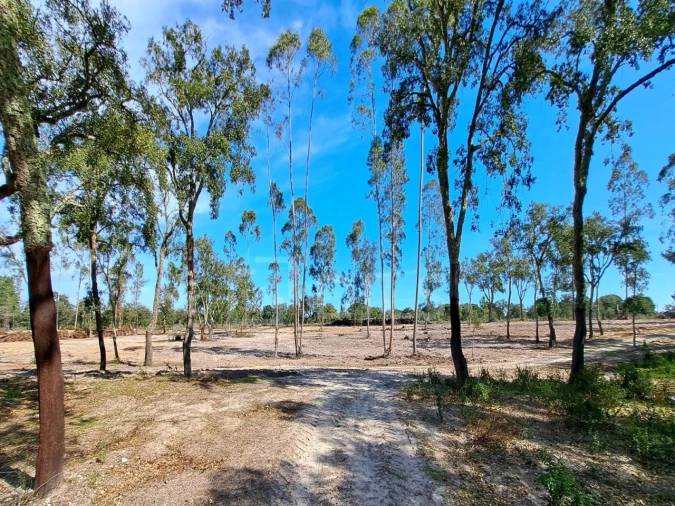 Moradia T2 para Venda em Grândola e Santa Margarida da Serra Foto 19