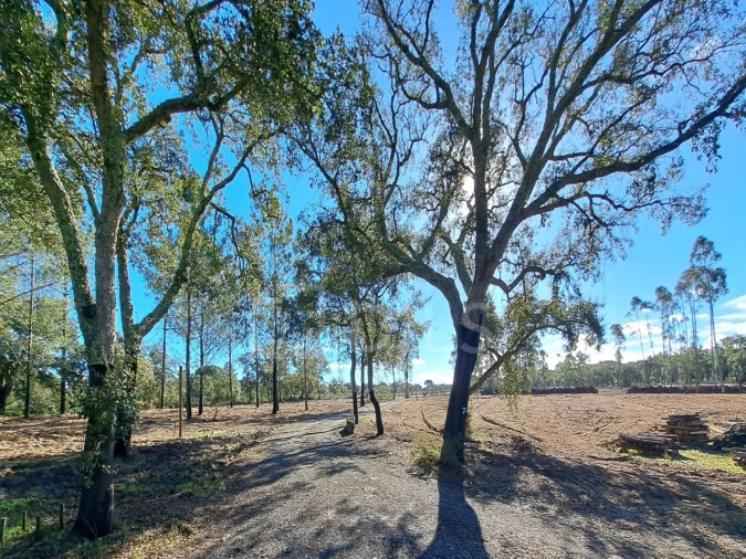 Moradia T2 para Venda em Grândola e Santa Margarida da Serra Foto 23
