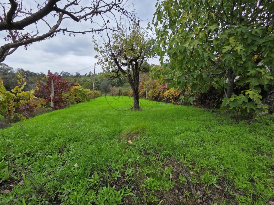 Moradia T3 para Venda em São Miguel do Mato Foto 28