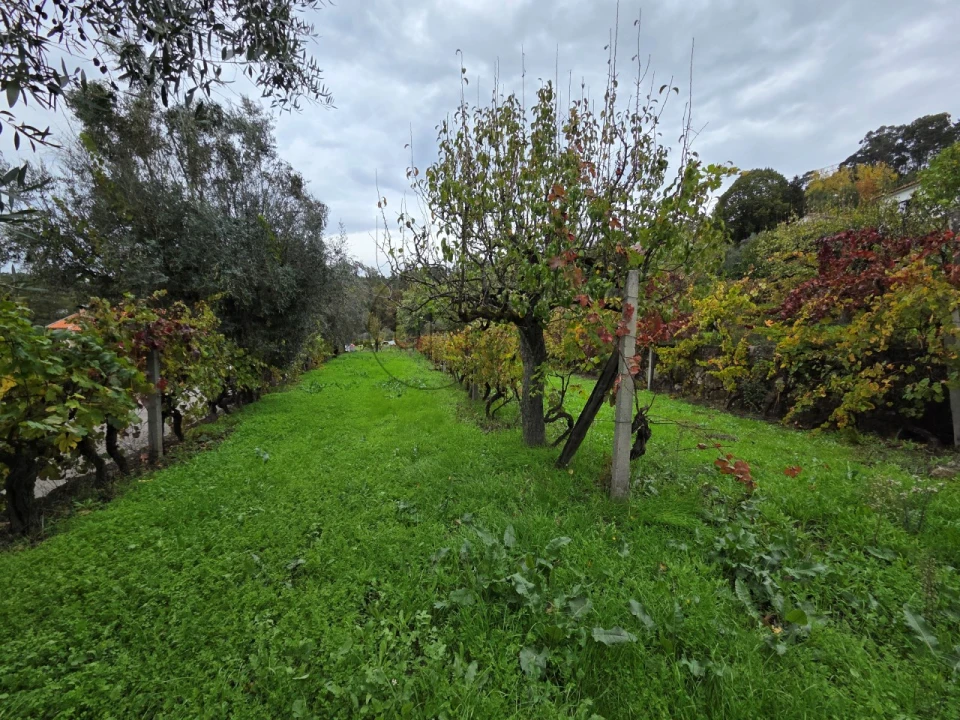 Moradia T3 para Venda em São Miguel do Mato Foto 30