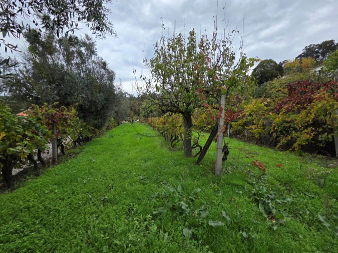 Moradia T3 para Venda em São Miguel do Mato Foto 30