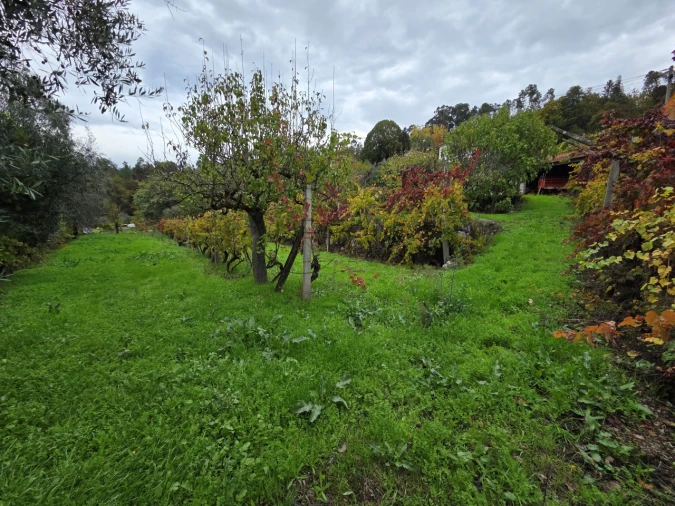 Moradia T3 para Venda em São Miguel do Mato Foto 29