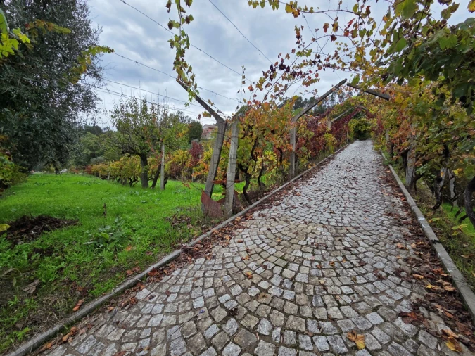 Moradia T3 para Venda em São Miguel do Mato Foto 31