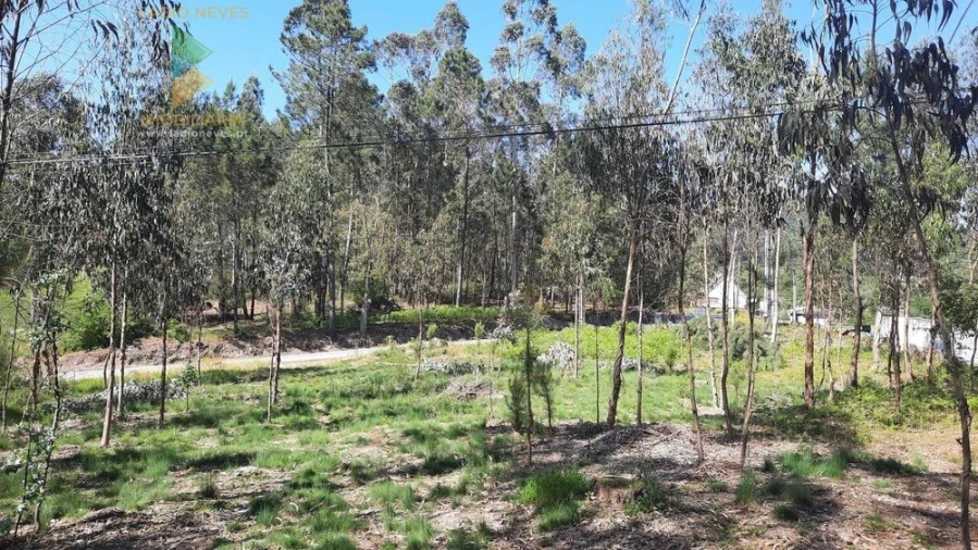 Terreno para Venda em Ardegão, Freixo e Mato Foto 2