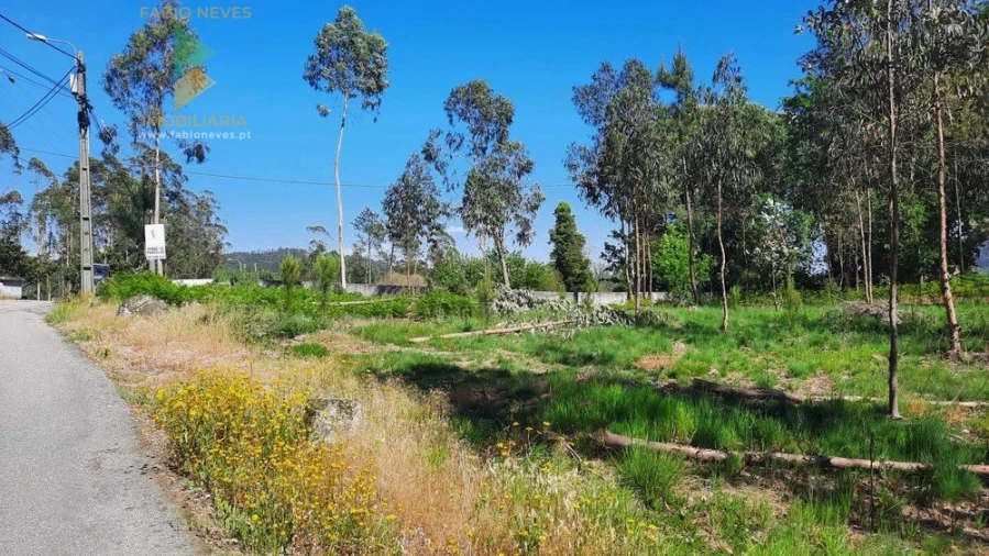 Terreno para Venda em Ardegão, Freixo e Mato Foto 3