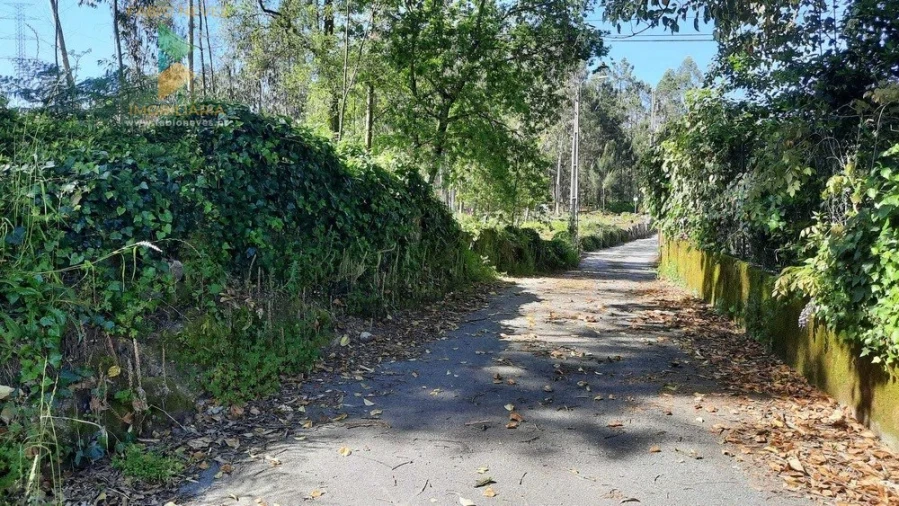 Terreno para Venda em Ardegão, Freixo e Mato Foto 4