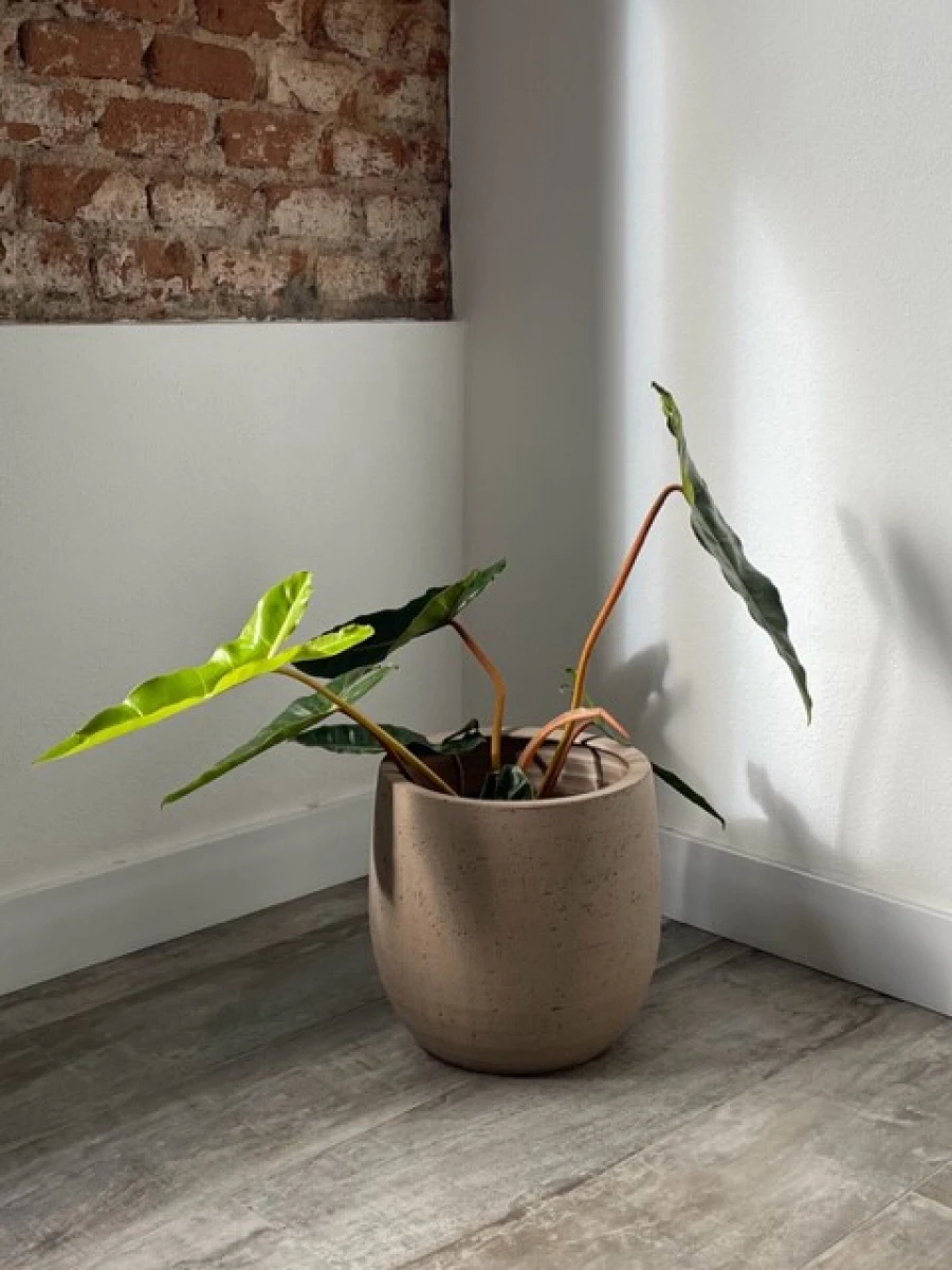 Moradia T1 para Arrendamento em Ponte de Sor, Tramaga e Vale de Açor Foto 5