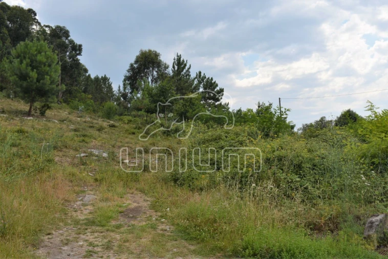 Terreno para Venda em Afife Foto 5