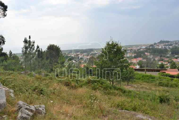 Terreno para Venda em Afife Foto 6