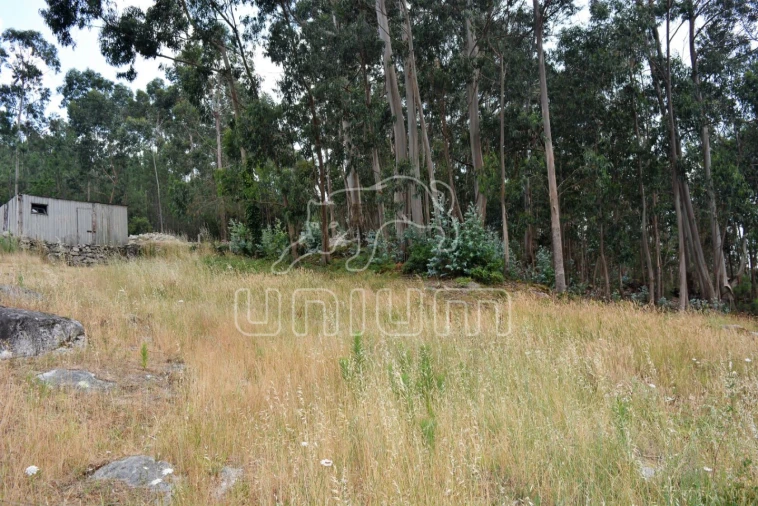 Terreno para Venda em Afife Foto 7