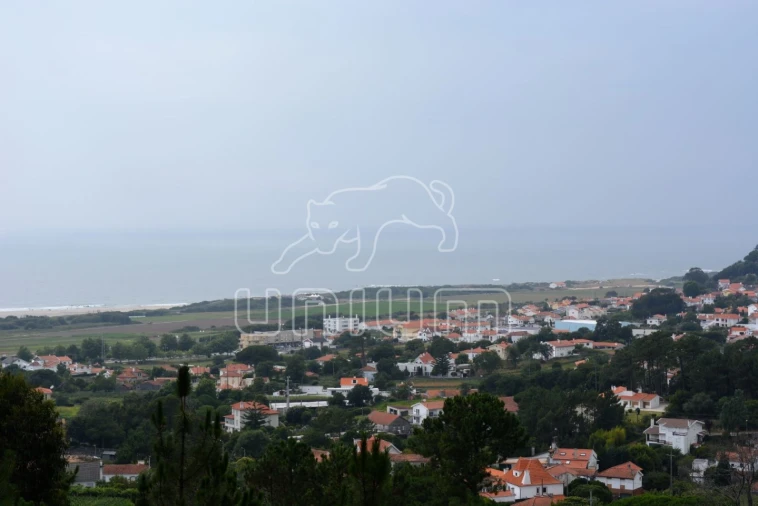 Terreno para Venda em Afife Foto 1