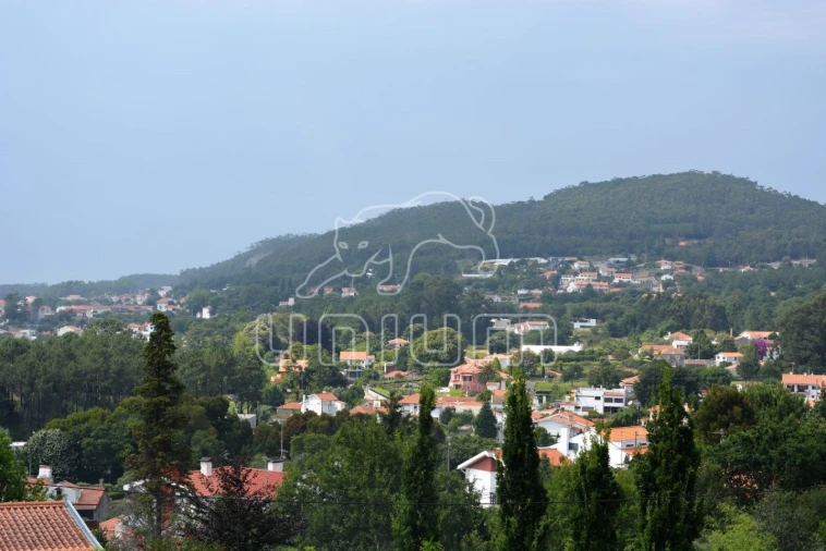 Terreno para Venda em Afife Foto 9