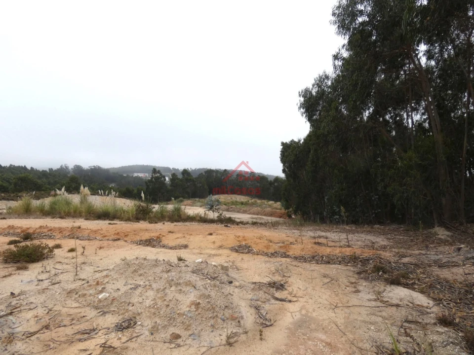 Terreno Comércio / Armazém para Venda em Santa Maria, São Pedro e Matacães Foto 3