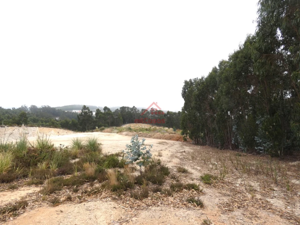 Terreno Comércio / Armazém para Venda em Santa Maria, São Pedro e Matacães Foto 5