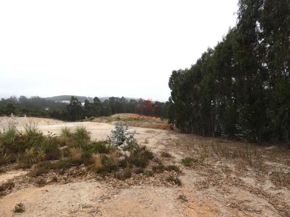 Terreno Comércio / Armazém para Venda em Santa Maria, São Pedro e Matacães Foto 6