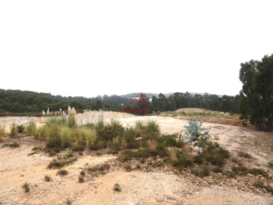 Terreno Comércio / Armazém para Venda em Santa Maria, São Pedro e Matacães Foto 7