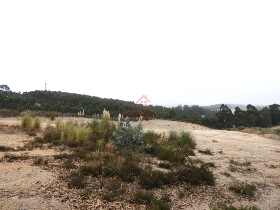 Terreno Comércio / Armazém para Venda em Santa Maria, São Pedro e Matacães Foto 2